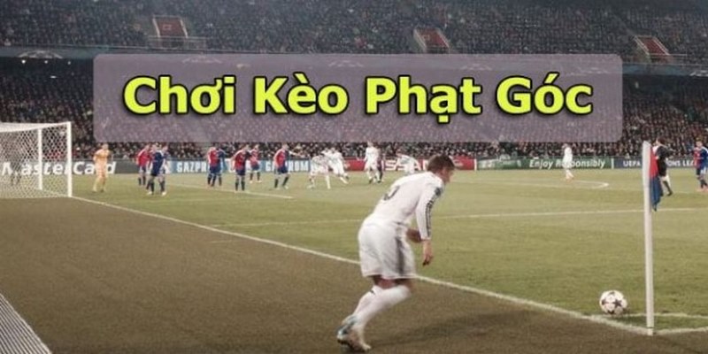 Bỏ túi những thủ thuật soi kèo phạt góc chắc thắng