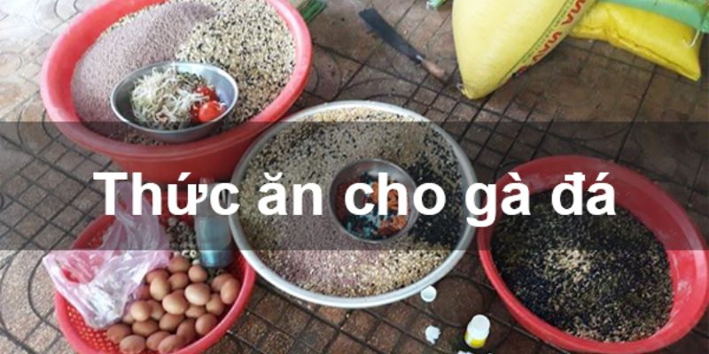 Cách bổ sung thức ăn hợp lý cho gà